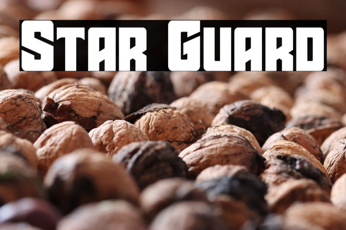 Star Guard Example 1