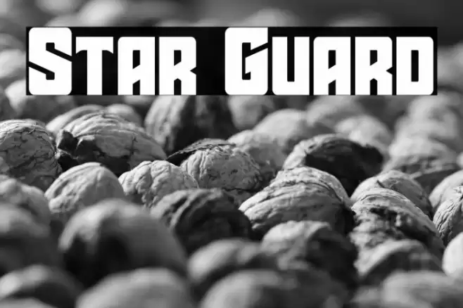 Star Guard Font examples