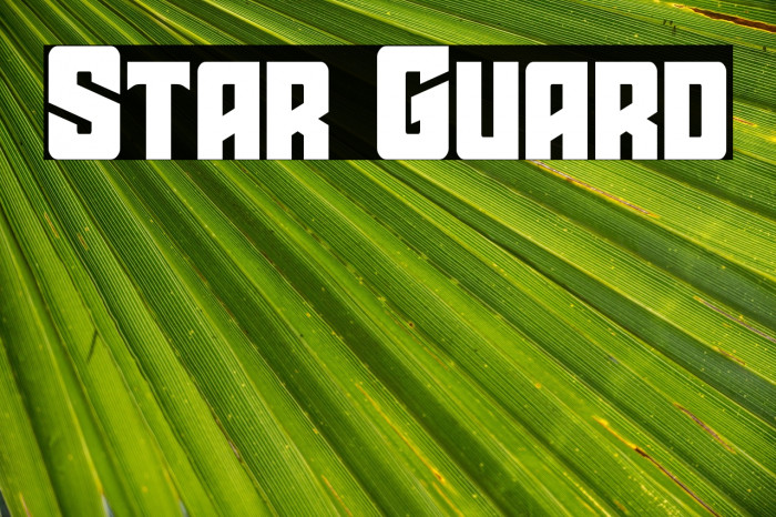 Star Guard Example 2