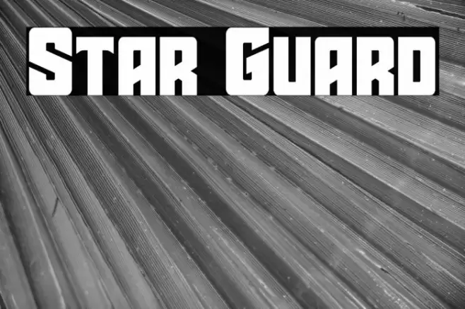 Star Guard Font examples