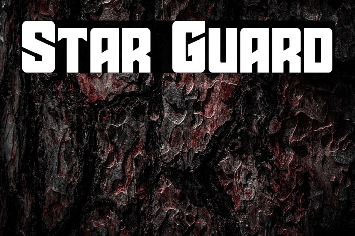 Star Guard Example 3