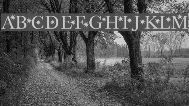 Star Hound Font examples