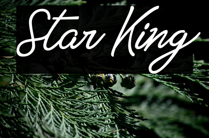 Star King Example 3