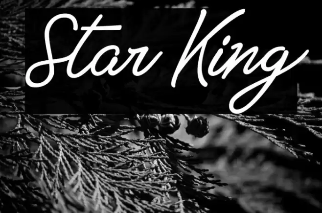 Star King Font examples