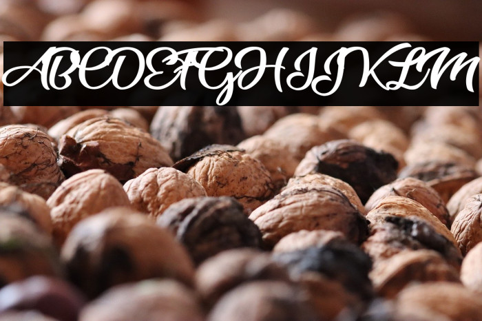 Star Light Personal Use  Example 2