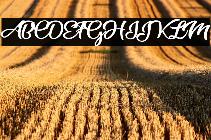 Star Light Personal Use  Example 3