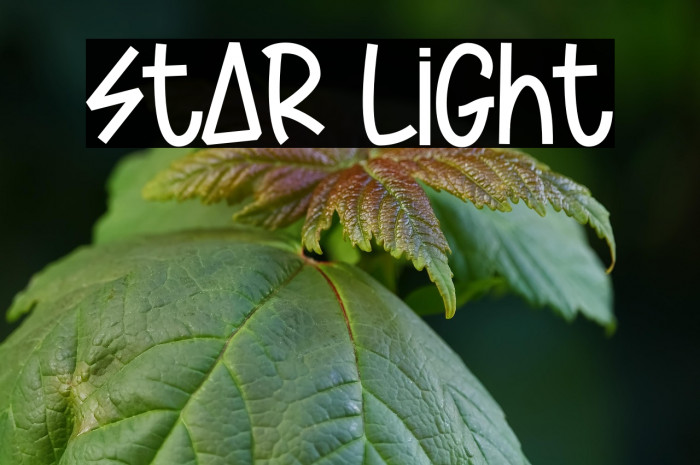 Star Light Example 1