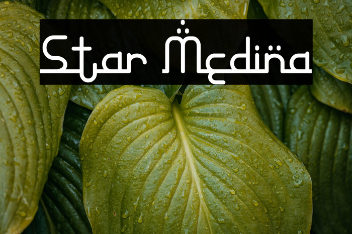 Star Medina Example 2