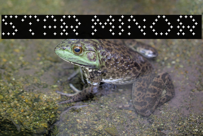 Star Minor Example 3