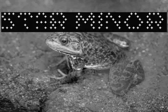 Star Minor Font examples