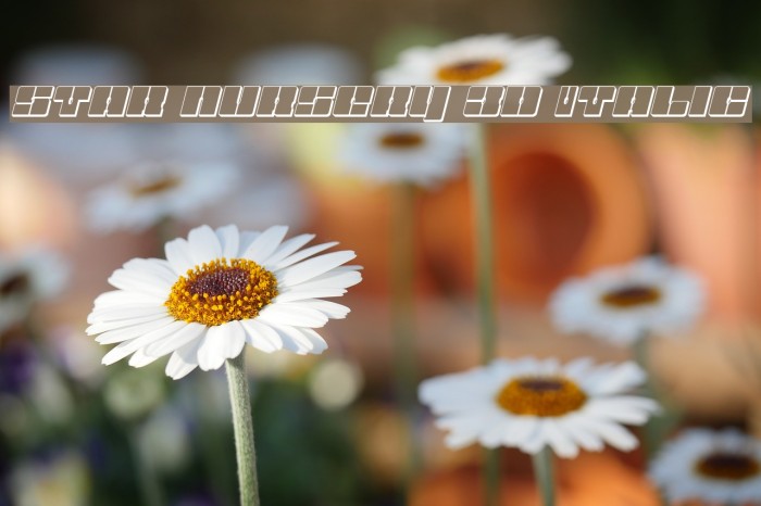 Star Nursery 3D Italic Font examples