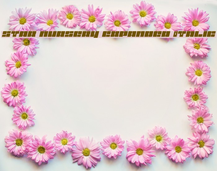Star Nursery Expanded Italic Font examples