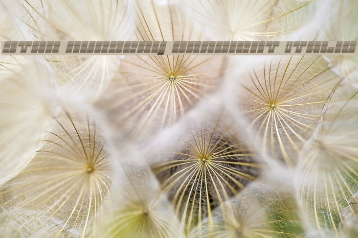 Star Nursery Gradient Italic Example 2