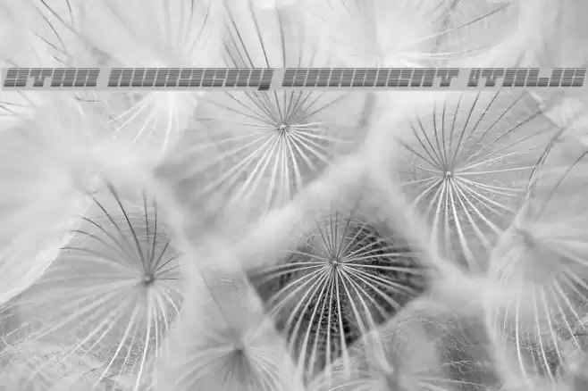 Star Nursery Gradient Italic Font examples