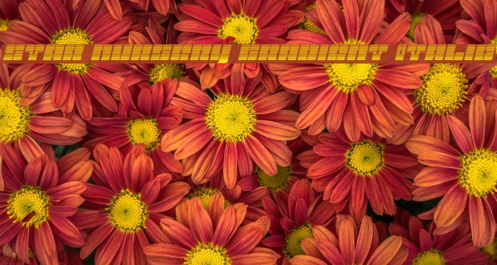 Star Nursery Gradient Italic Example 3