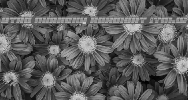 Star Nursery Gradient Italic Font examples