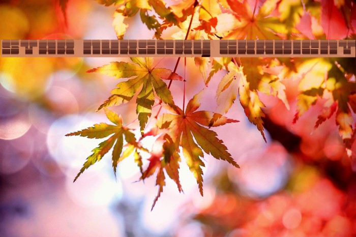 Star Nursery Gradient Example 2