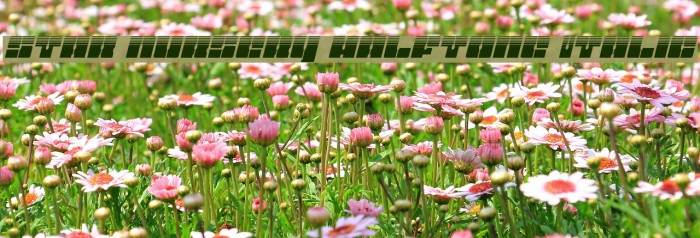 Star Nursery Halftone Italic Font examples
