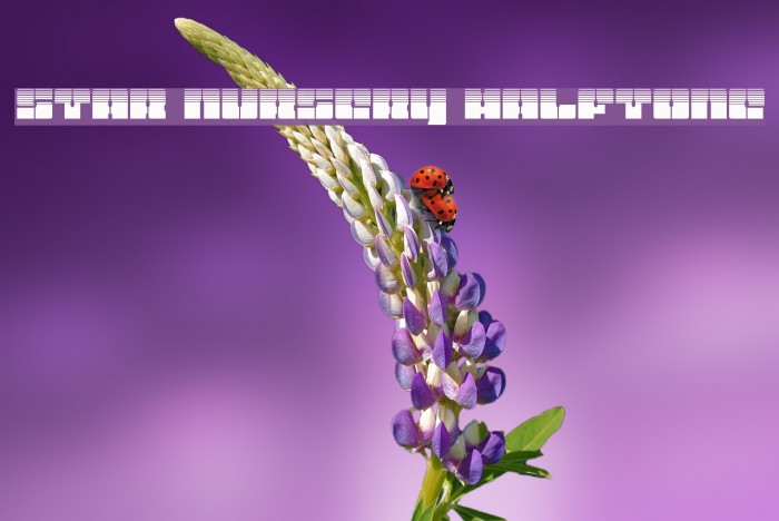 Star Nursery Halftone Font examples