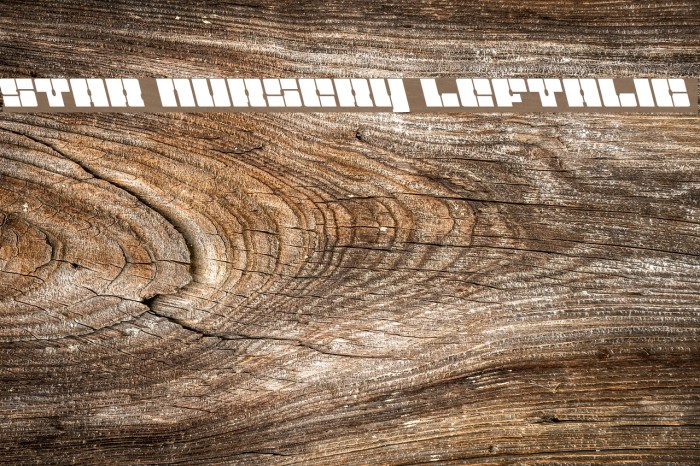 Star Nursery Leftalic Font examples