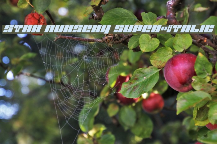 Star Nursery Super-Italic Example 2