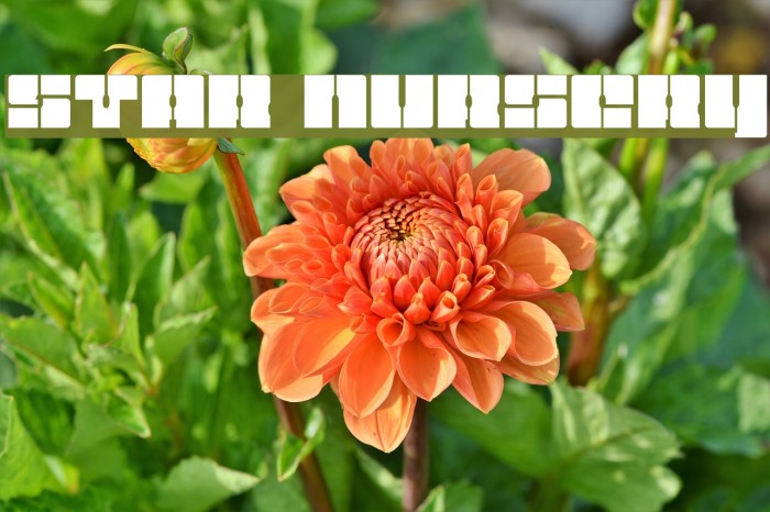 Star Nursery Font examples
