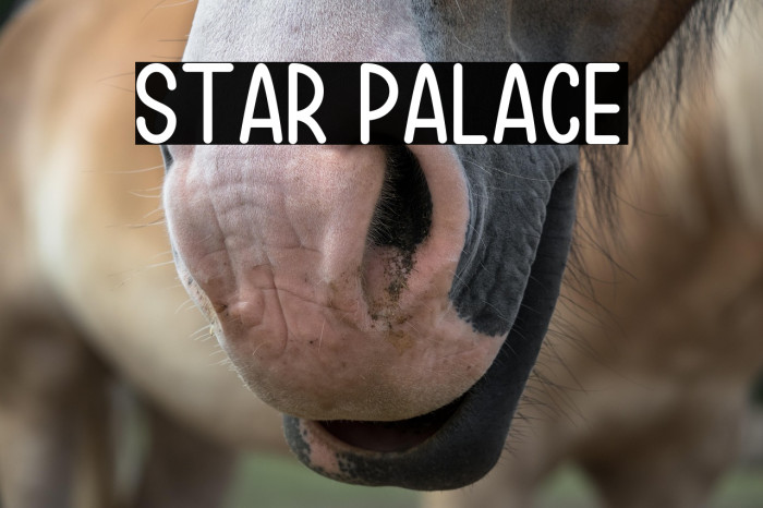 Star Palace Example 1