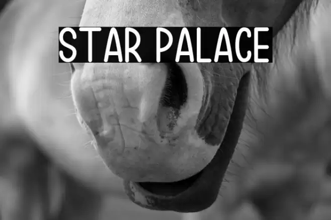 Star Palace Font examples