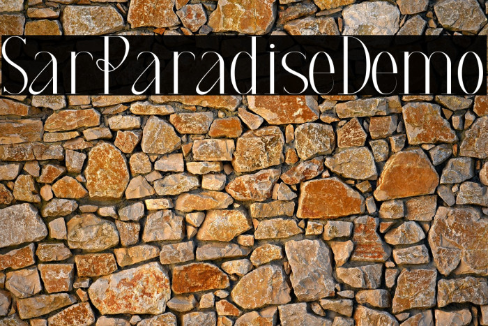 Star Paradise Demo Example 1