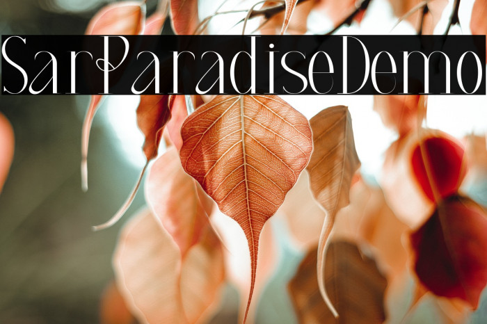 Star Paradise Demo Example 2