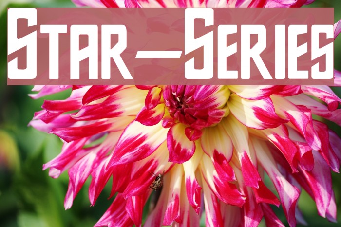 Star-Series Font examples