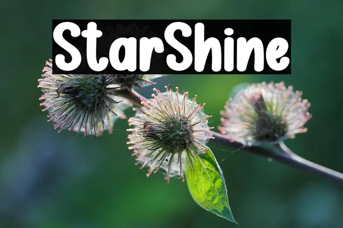 Star Shine Example 3
