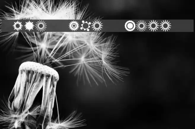 Star Time Three JL Font examples