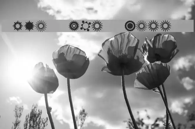 Star Time Three JL Font examples