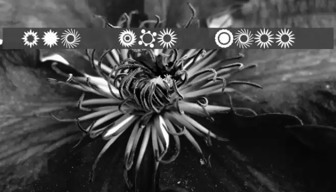 Star Time Three JL Font examples