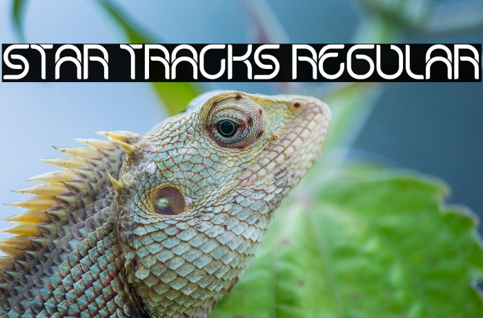 Star Tracks Regular Example 1