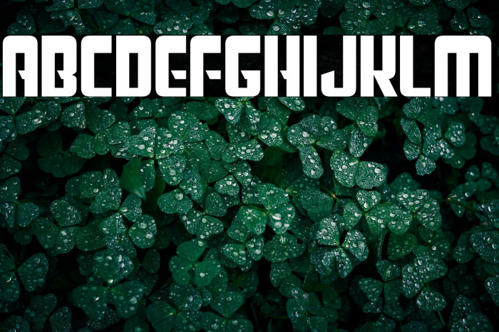 Star Trebek Example 3