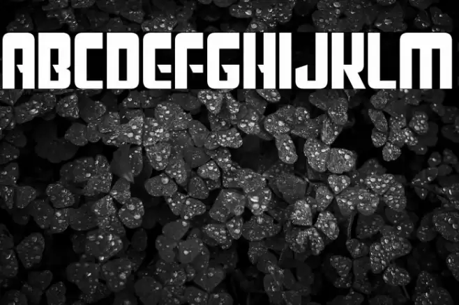 Star Trebek Font examples