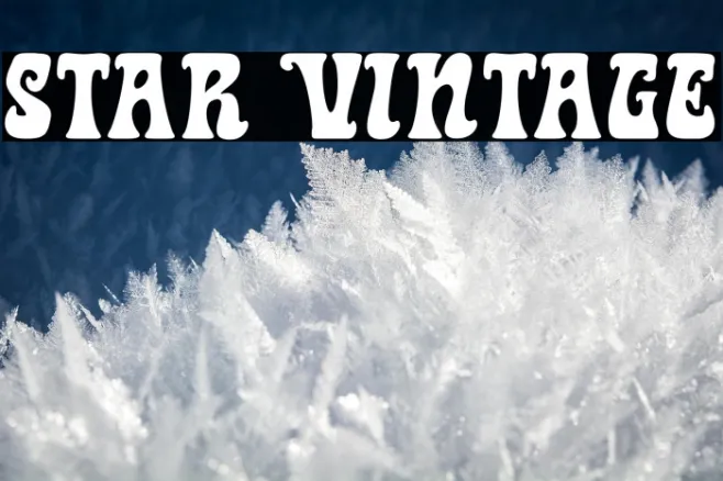 Star Vintage Example 1