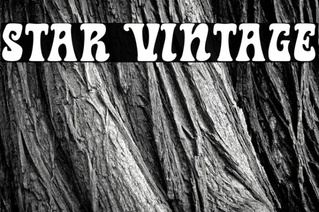 Star Vintage Example 2