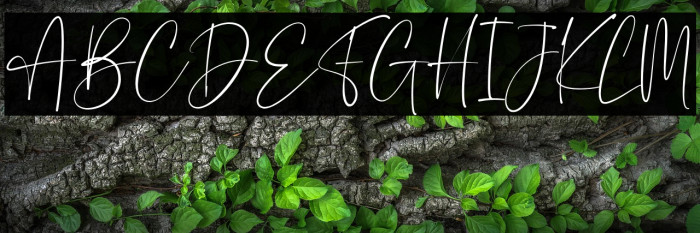 StarBlushScript Demo Example 1