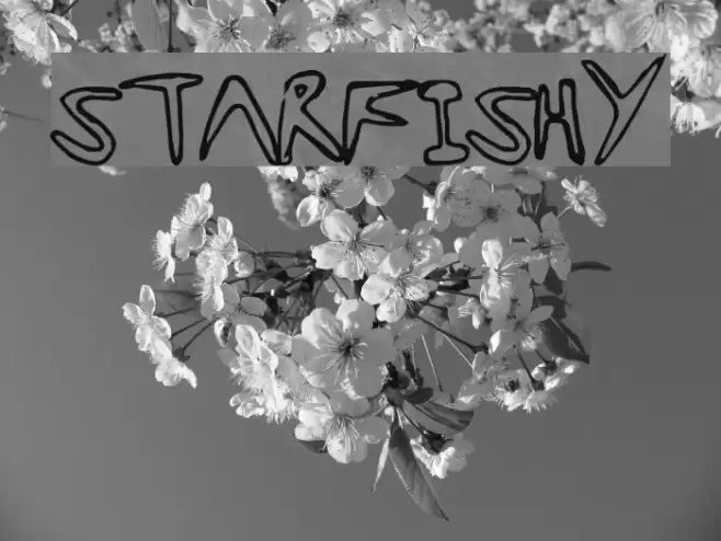StarFishy Font examples