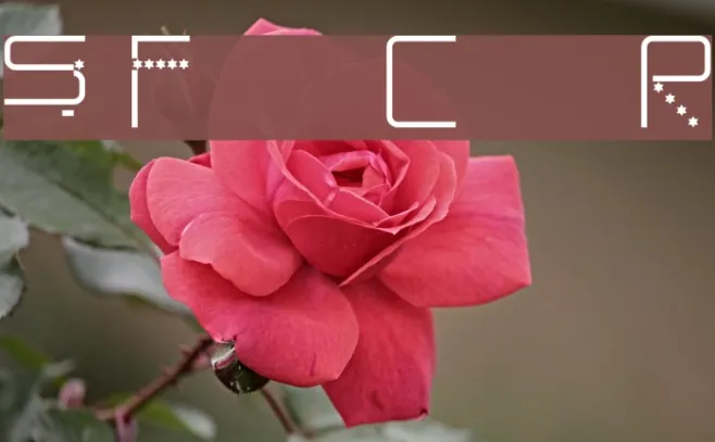 StarFont Capitals Regular Example 1