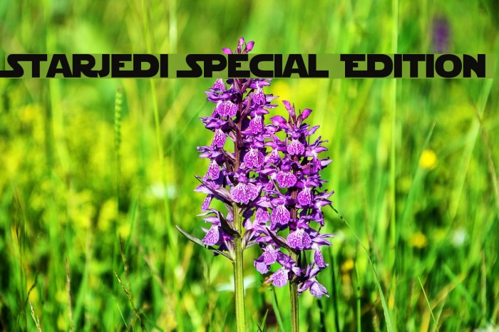 StarJedi Special Edition Font examples