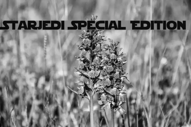 StarJedi Special Edition フォント examples