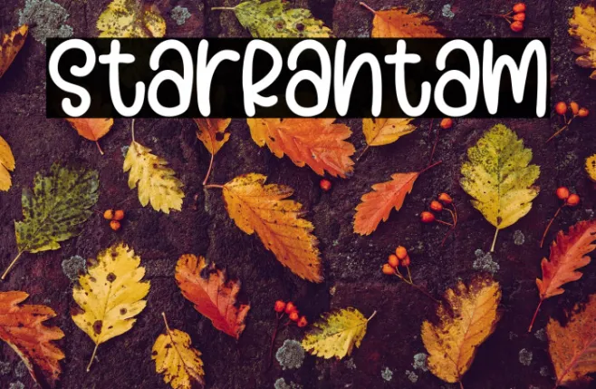 StarRantam Example 1