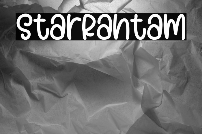 StarRantam Example 3