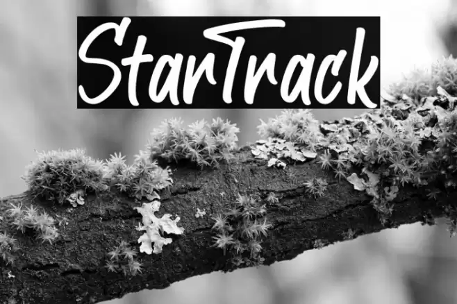 StarTrack Font examples