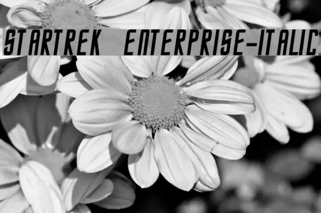 StarTrek Enterprise-Italic Font examples