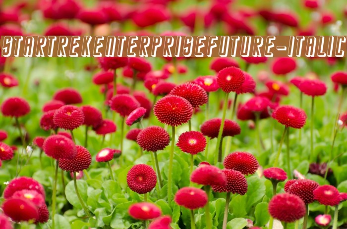 StarTrekEnterpriseFuture-Italic Font examples